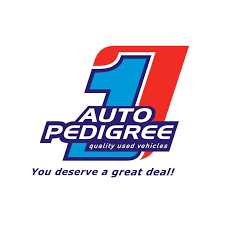 Driver Cleaner – Auto Pedigree (Kempton Park)