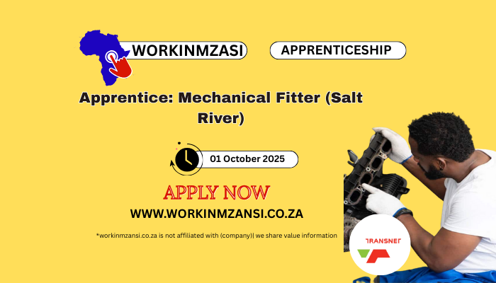 Apprentice Mechanical Fitter (Salt River)
