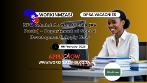 NPO Administration Clerks