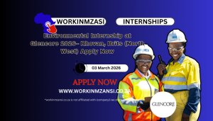 Environmental Internship