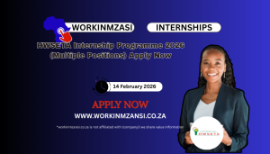HWSETA Internship